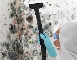 Environmental Consulting for Mold Prevention in Poynette, WI